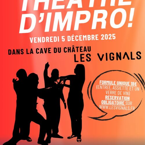 Ticket : Théâtre d'Impro - le 5 décembre 2025