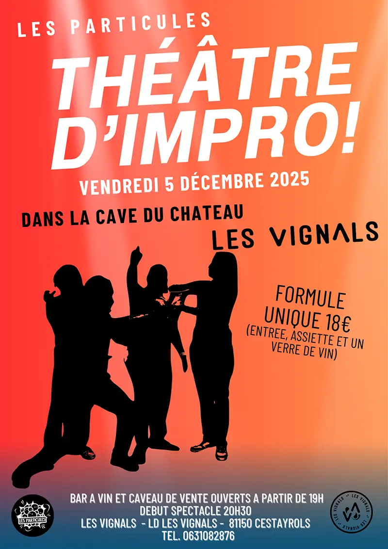 soiree-theatre-impro-cave-bar-les-vignals