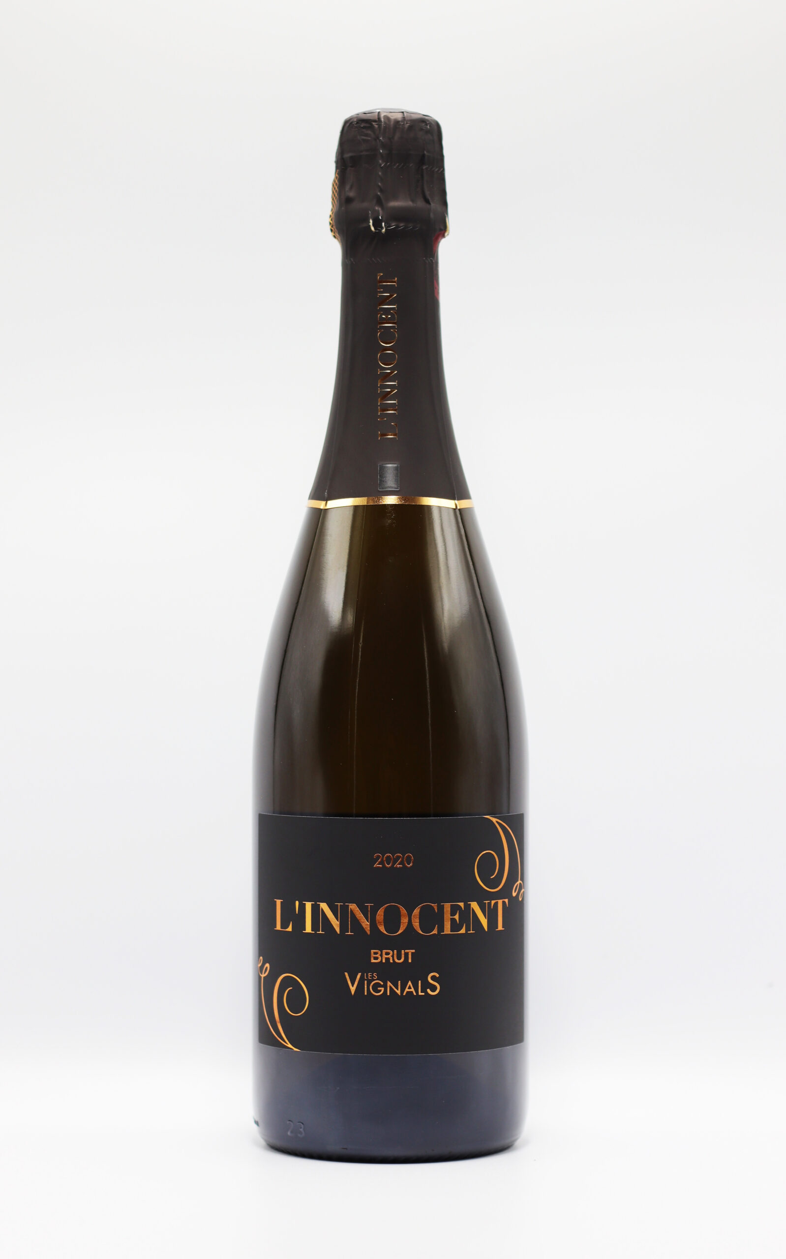 IMG_2903-scaled-1.jpg IMG_2903-scaled-1.jpg