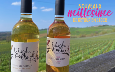 🌸 Le printemps est de retour… et nos vins aussi ! 🌿