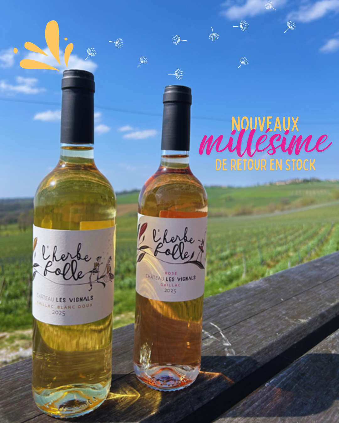 🌸 Le printemps est de retour… et nos vins aussi ! 🌿