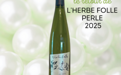 LâHERBE FOLLE PerlĂ© 2025 : fraĂźcheur et Ă©lĂ©gance au rendez-vous