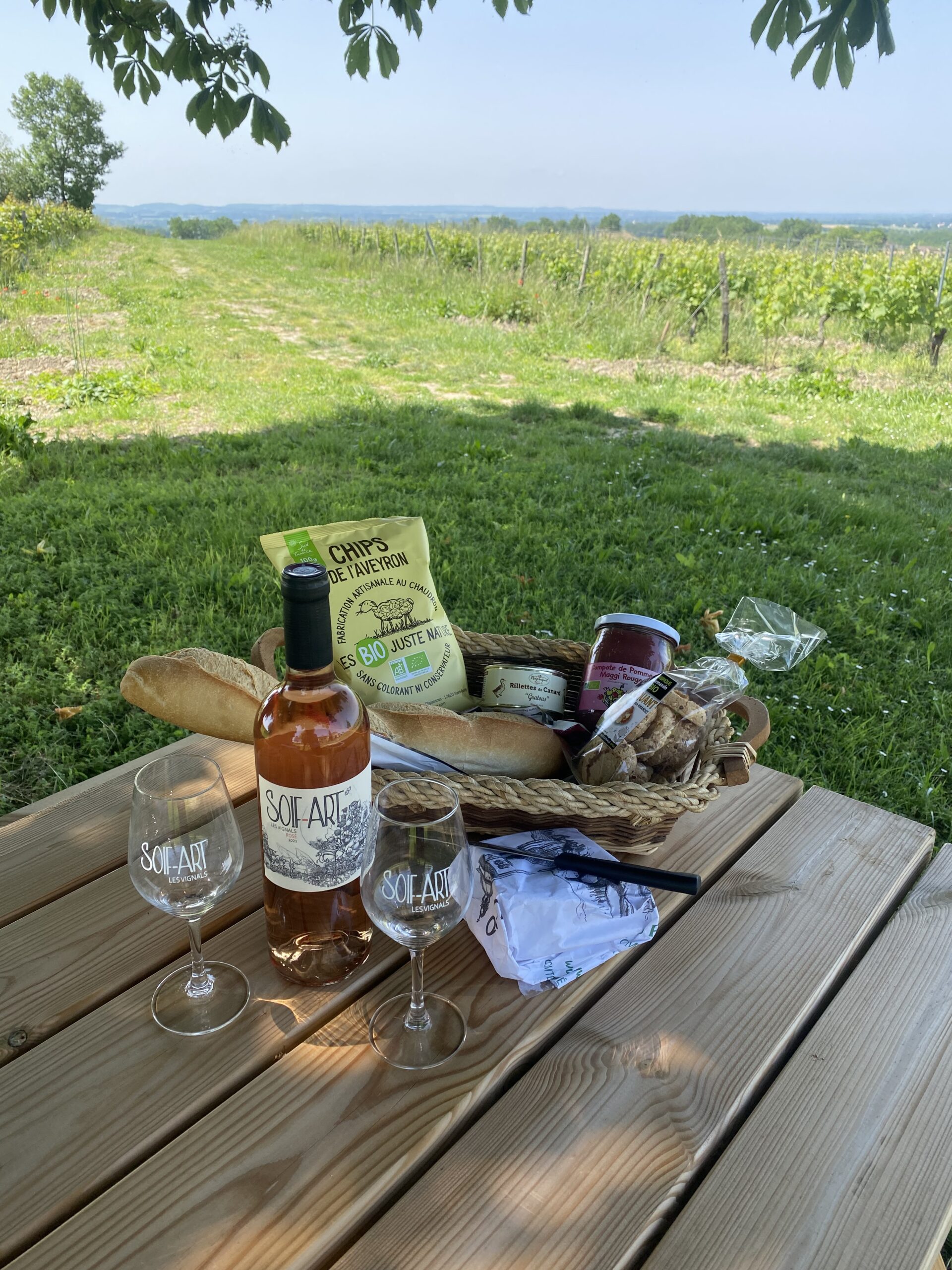 2023_picnic3