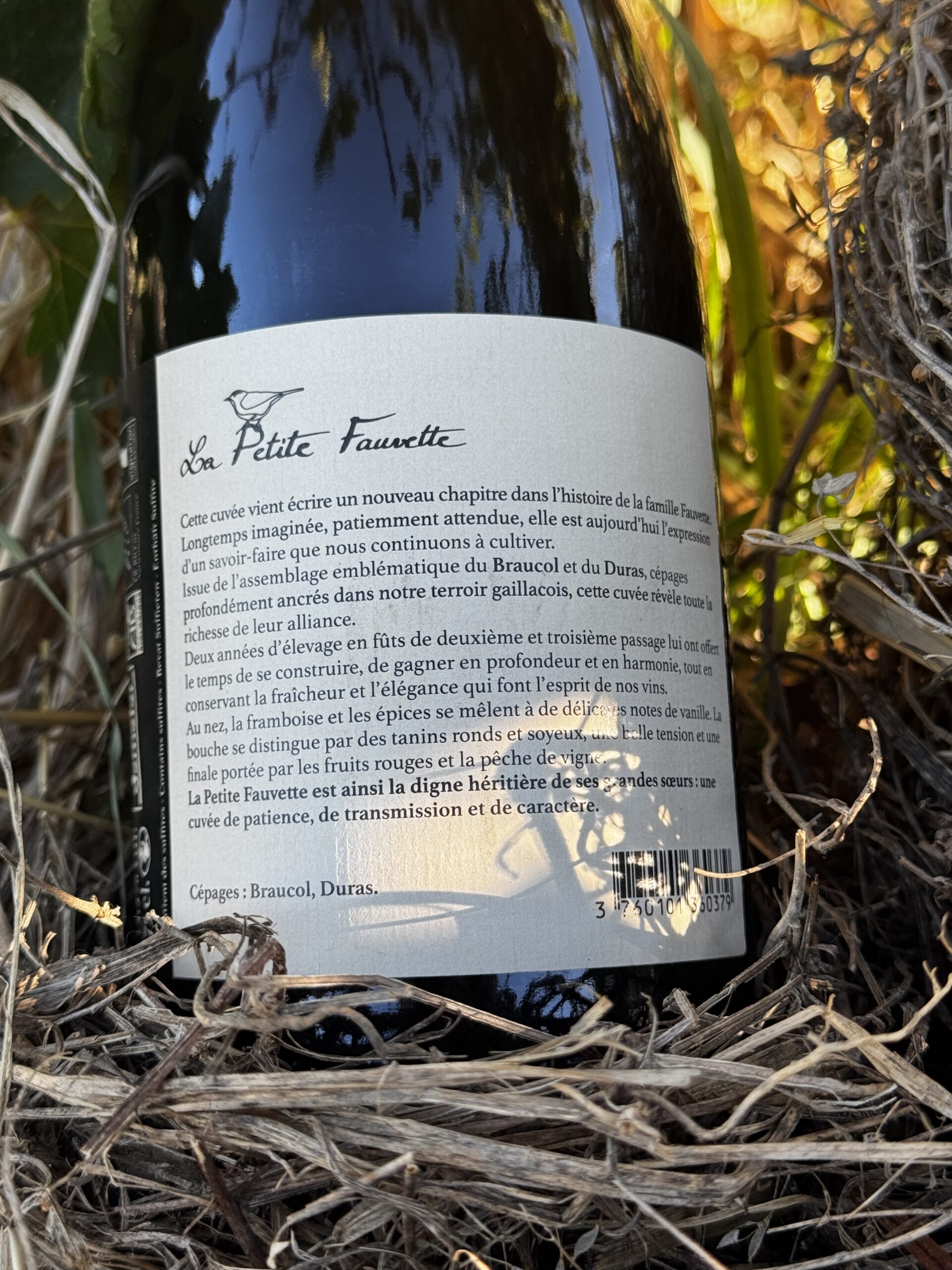 La Petite Fauvette 2023 – Image 4